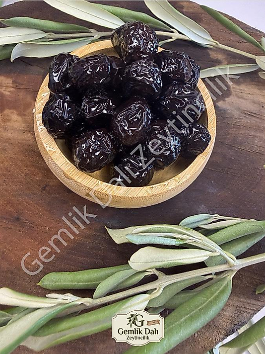 Sele Zeytin İri Boy ( XL )