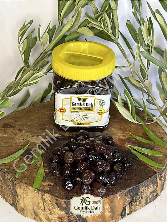 Özel Katırlı Zeytinimiz 1 kg