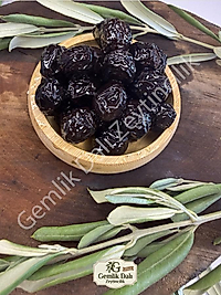 Sele Zeytin İri Boy ( XL )