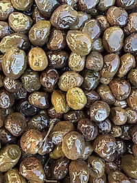 İri boy Kızıl Zeytin