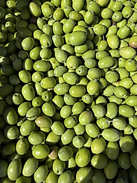 1 NUMARA GEMLİK KIRMASI  (1 Kg )