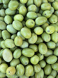 İri BoyDomat Kırma Zeytin