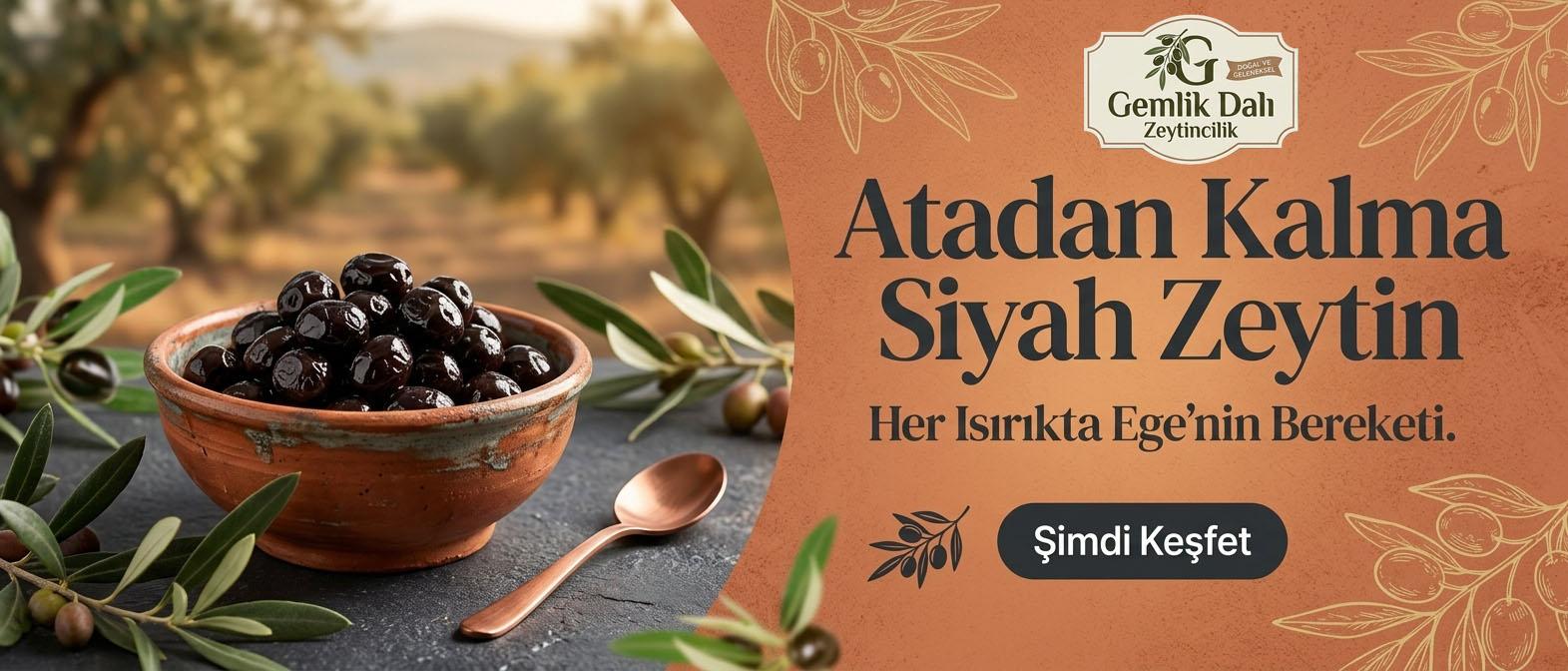 Anasayfa Slider